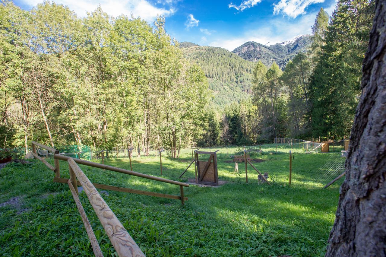 B/B La Locanda Delle Pulci Mezzana  Dış mekan fotoğraf